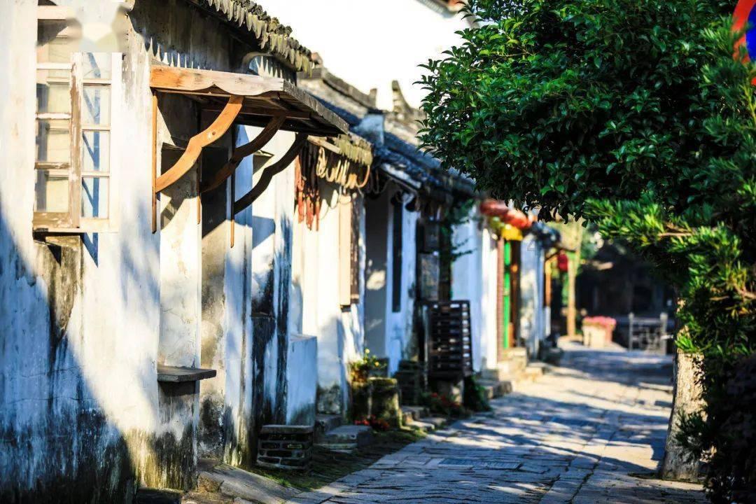 网络公司逃脱